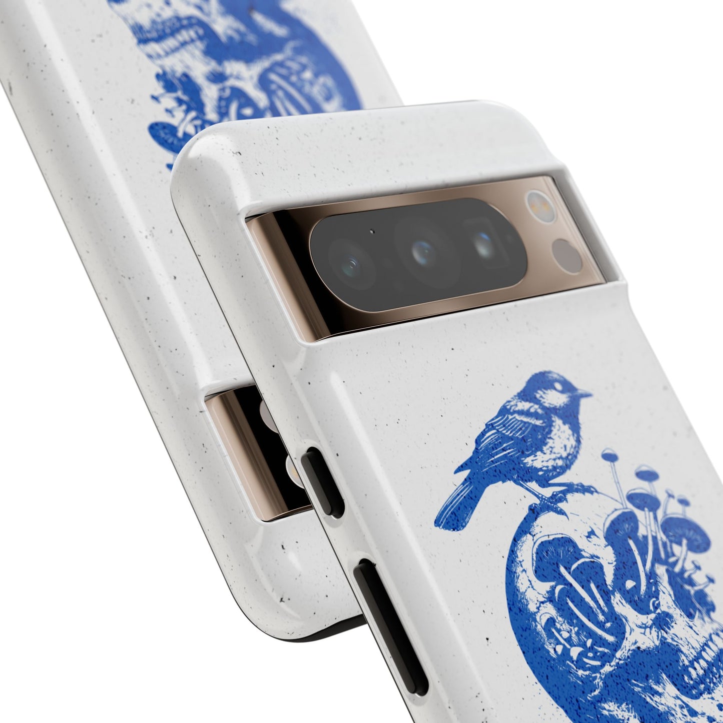 HMBL Collection Skull & Bird Case